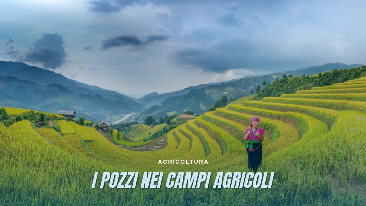 I pozzi nei campi agricoli